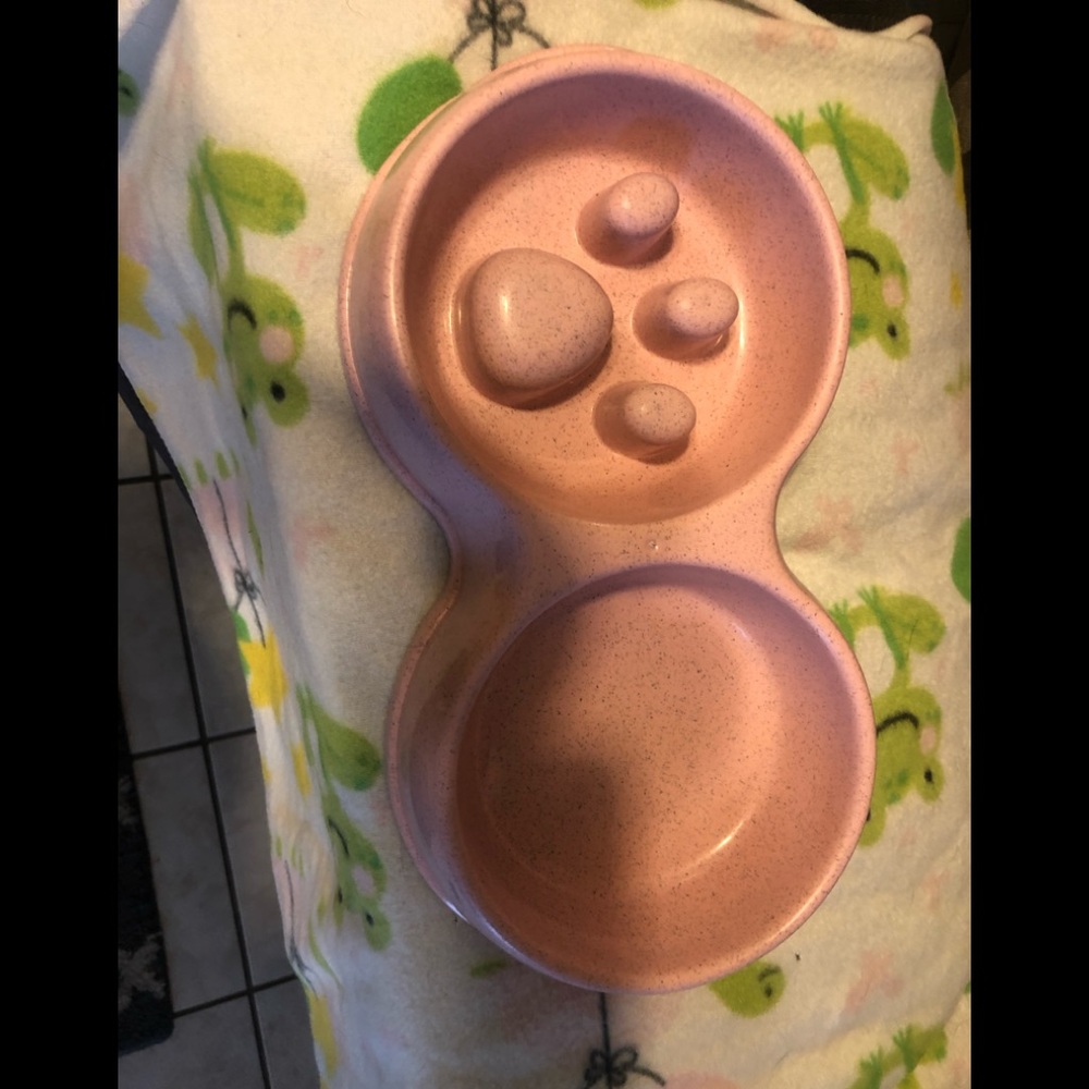 Practically Brand New Pink Slow Feed Dog Bowl